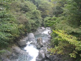 本谷川の自然豊かな渓谷