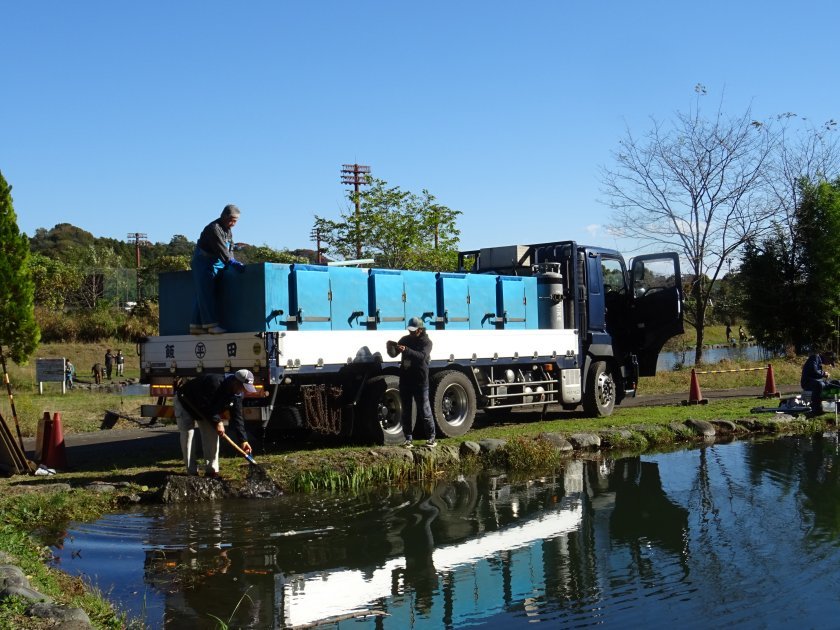 マス釣場